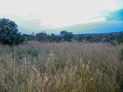 IMGP0030